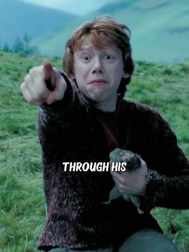Dumbledore's Time Travel Theory: Is He Ron Weasley?