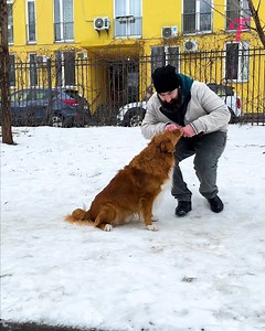 Rude litterer served a lesson in kindness by a stray dog | Tips & Tricks