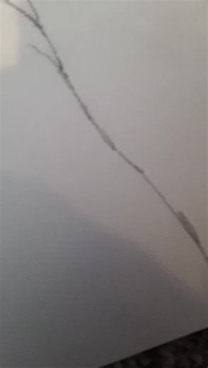 everyone will remember hawkfrost :) #warriors