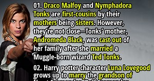 Wizarding Family Secrets: 18 Bizarre Facts from the Harry Potter Universe - Fact Republic