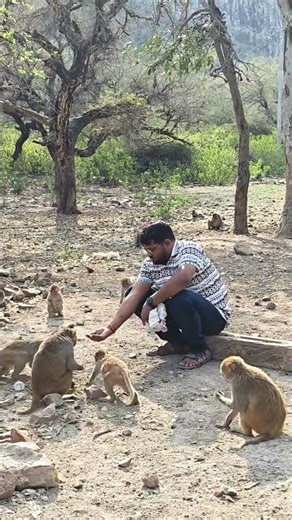 this monkey is too intelligent 🐒 #shocking