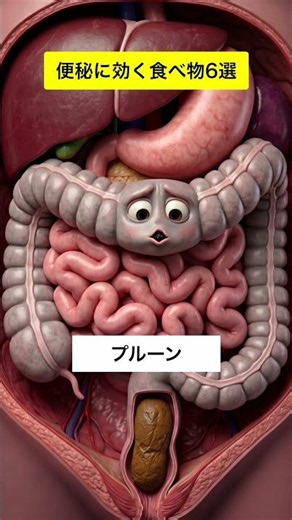 これで便秘解消！便秘に効く食べ物6選