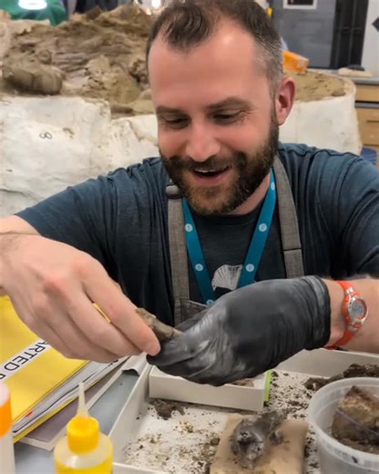 Kelsie Abrams on Instagram: "When you find two fossil fragments that fit together.... Happy Fossil Friday! This clip features fossil prep lab volunteer Jeff working on puzzling together part of our sub-adult Edmontosaurus. #fossilfriday"