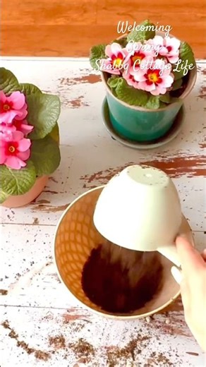 Welcome Spring Slowly 🌸 Cozy Decorating & Slow Living Moments #springvibes #springdecor #slowliving