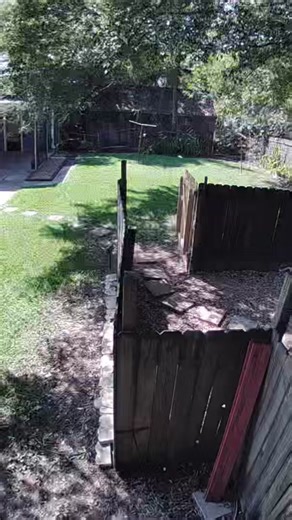 TikTok - Make Your Day