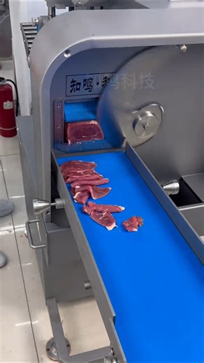 Fresh Meat Slicing Without Freezing – Smooth & Continuous Cutting 🥩🔪
