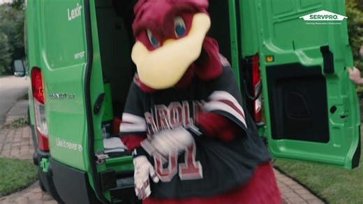 14K views · 118 reactions | We're proud to partner with Servpro to bring trusted cleanup and restoration services to communities across South Carolina 酪 #Gamecocks | Servpro Team Cox - Columbia | South Carolina Gamecocks | Facebook