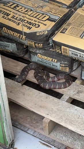 Theres construction worker fails, then theres CONSTRUCTION WORKER FAILS!! #constructionworkerfails #constructionfails #workerfail