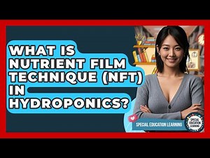What Is Nutrient Film Technique (NFT) In Hydroponics? - Special Education Learning