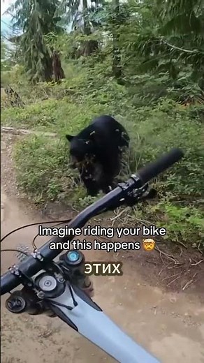 Топ фейлов на велосипедах😳. #trail #shorts #нейросеть #bike #велосипед #fail #провал #fyr #fyp