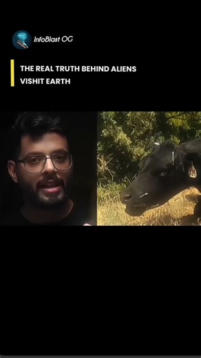 the real truth behind alines vishit earth