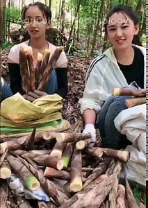 1.1M views · 9.3K reactions | Amazing Organic Vegetable Farming | Agriculture Technology | Facebook