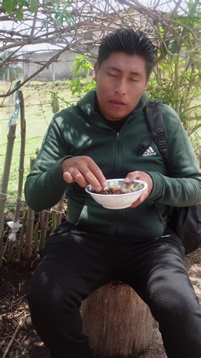Hormigas de la Amazonía: Un Vistazo a Taisha y Mayones