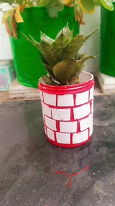 28K views · 375 reactions | DIY planters making ideas ❤️ #planter ideas  #trending # #youtubeshorts | Ashiyana khayalon ka | Facebook