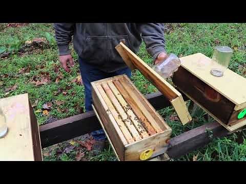Permaculture Chemical Free Beekeeping