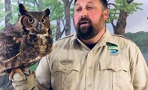 14K views · 192 reactions | We hope you enjoy this educational video, but the learning doesn’t stop here!! Check the comments below for a worksheet that asks you to recall information from the video and dig deeper and find some answers for yourself! Save your answers to the worksheet, we will post the correct responses in the afternoon! Thanks for watching  #InThisTogether | Hueston Woods State Park | Facebook