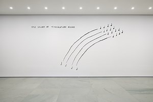 Christine Sun Kim: Oh Me Oh My