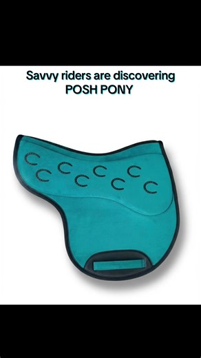 ✨ Why savvy riders are discovering Posh Pony ✨ Because your horse deserves more than “just okay.” These are affordable, luxury-look saddle pads you’re not afraid to use every single day. No saving them for “best.” No babying them. This is your go-to pad — the one you throw on for flat days, jump days, and everything in between. From polished style to performance comfort, Posh Pony proves you can ride smart and look good doing it. Once you go Posh… you never go back. 💅🐴 #e#equestrianlifeh#horse