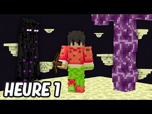 J'ai survécu UNIQUEMENT dans l'END sur Minecraft..