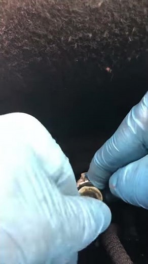 FUEL FILTER CLIP RELEASE CITROEN PEUGEOT