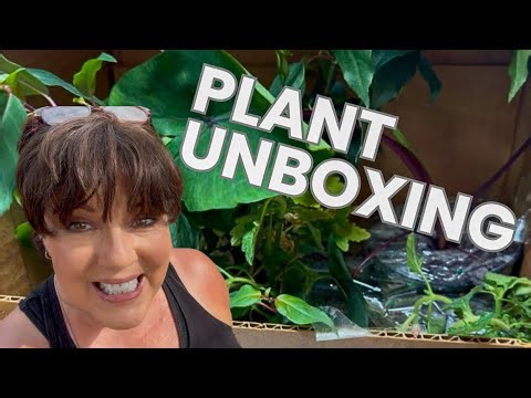 Etsy Plant Unboxing + 3 Swallowtails Emerged! (Florida Butterfly Garden Vlog)