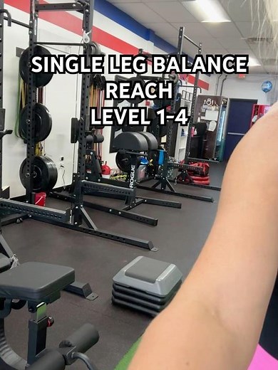 Single Leg Balance Reach