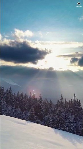 Winter Sunset Over Cozy Cabins | Snowy Forest Nature Shorts 4K