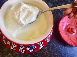 Curd Recipe With Toned Milk