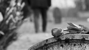 11K views · 224 reactions | "Kiss on a Cold Cold Stone" features, along with Jesse on mandolin and baritone vocals, Greg Blake on lead vocals, Russ Carson on banjo, Josh Swift on resophonic guitar, Barry Reed on bass, and Felicia Mikels on tenor vocals. Produced by Sound Biscuit, filmed and directed by DF Production Services of Knoxville, TN. | Bluegrass Music TV | Facebook