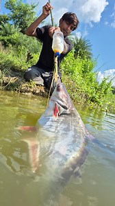 Unbelievable technique fishing method #fish #reels #video #fishing | Discovery Site