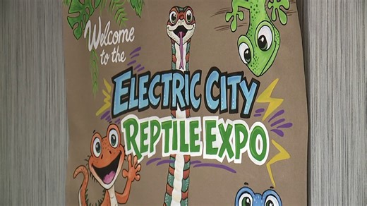 Folks slither to reptile expo in Scranton