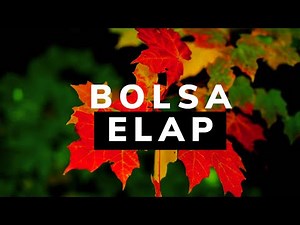 Bolsa de estudos ELAP: Como montar sua carta de intenção ou de motivação