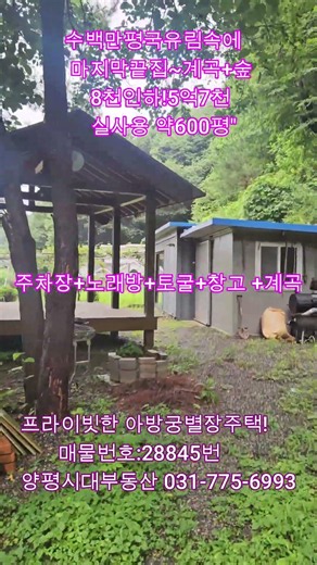 국유림속 계곡2천평 아방궁급매물
