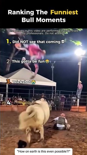 Ranking The Funniest Bull Moments😂