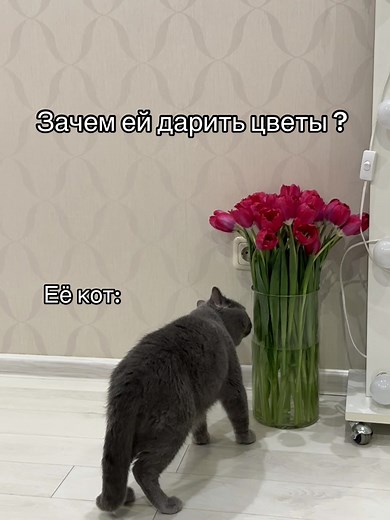 #рек#подарокна8марта