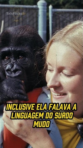 KOKO: THE MOST INTELLIGENT GORILLA IN HISTORY