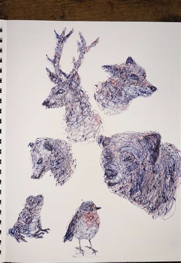 Dual-Handed Forest Wildlife Drawings