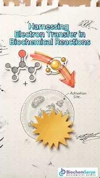 Harnessing Electron Transfer in Biochemical Reactions