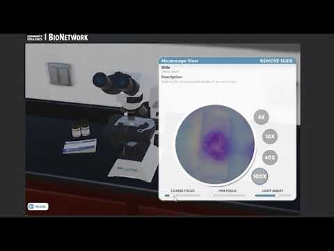 Microscopio Virtual (Bionetwork)