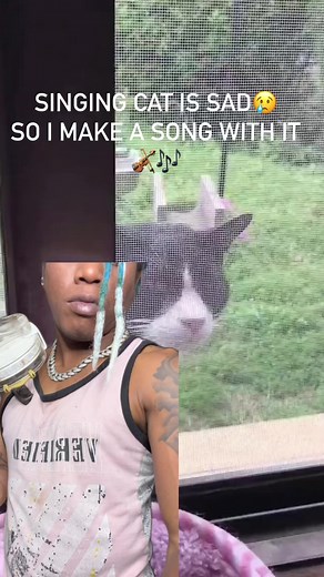 Singing cat with sad violin beautiful duo | Brian King Joseph