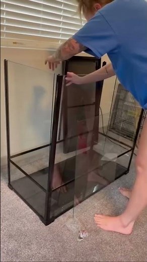 Unboxing the ReptiZoo 100-Gallon Terrarium | Gargoyle Gecko’s Big Upgrade! 🦎📦