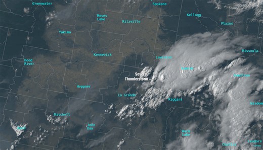 6.7K views · 93 reactions | High temporal resolution satellite imagery (1 picture/minute) of the severe thunderstorm south of Lewiston was showing concentric gravity waves forming at the top of the updraft. This was also evident for the storm near Kamiah. | US National Weather Service Spokane Washington | Facebook