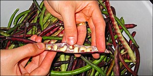 Recipes for a classic, unfussy Southern meal built around field peas and history