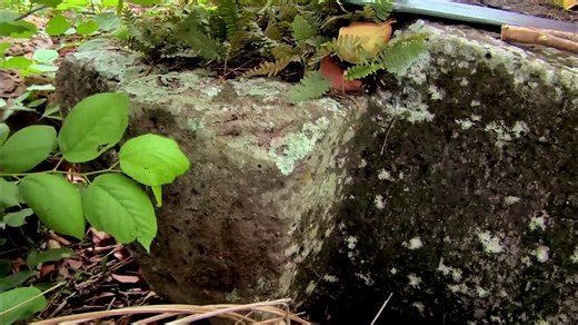 Giant Stone Heads Carved by Ancient Civilization Digging For The Truth (S4, E3)