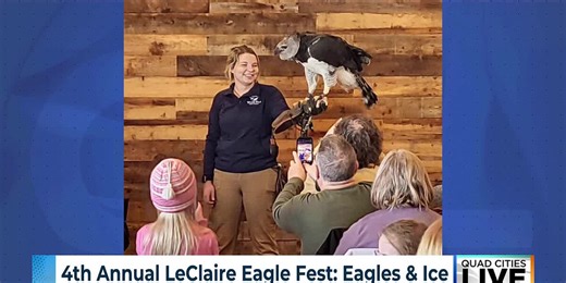 LeClaire Eagle Fest returns with eagle watching, ice carving and live raptor programs