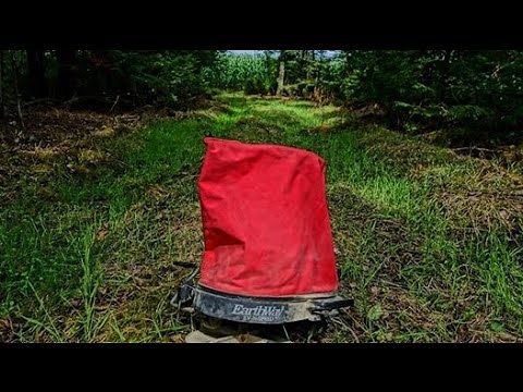 Logging Road Food Plots