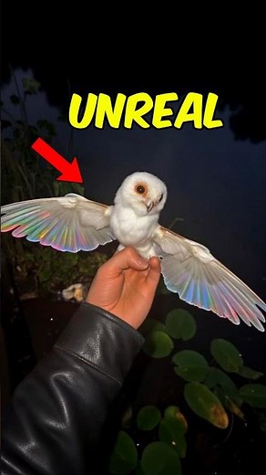 Rarest Albino Animals You Won't Believe Actually Exist