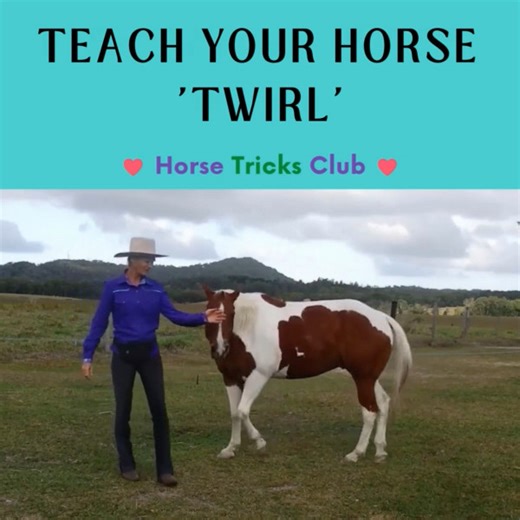 298 reactions · 28 shares | Teach your horse to twirl! 朗  This fun...