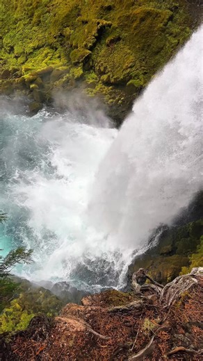 Exploring Sahalie Falls in Oregon: A Hiking Guide