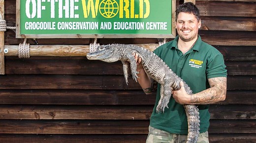 Crocodiles of the World | Zoo Oxfordshire | Experience Oxfordshire